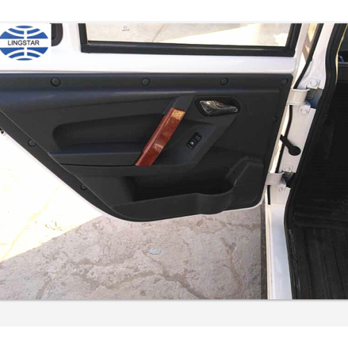 Hot Sell Car Electric Adult 2 Seats for Sale